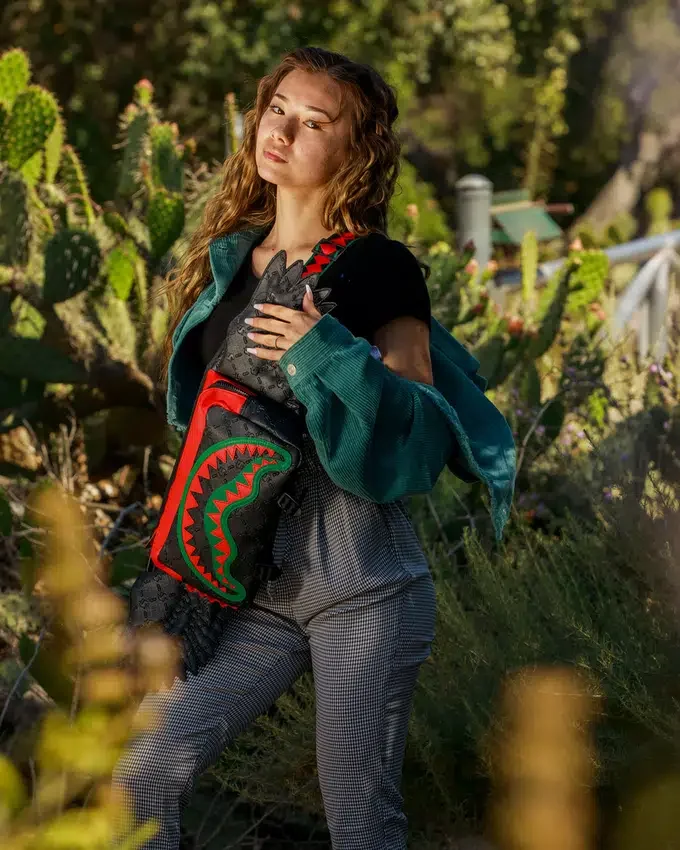DINERO WING Crossbody Genți Crossbody
