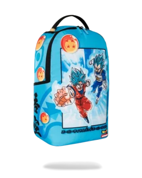 DRAGON BALL Z SUPER SAIYAN BLUE GOKU ȘI VEGETA