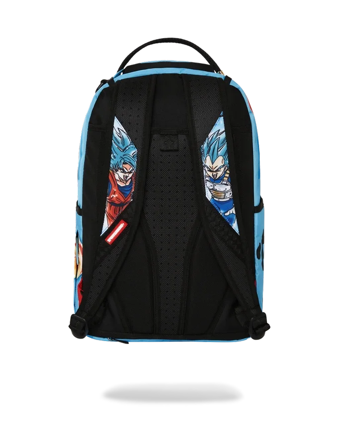 DRAGON BALL Z SUPER SAIYAN BLUE GOKU ȘI VEGETA
