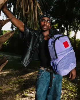NU SE POATE!!! UN RUCSACURI REVERSIBIL – DE LA VELUR VIOLET RUCSACUL OG SHARKS IN PARIS