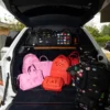 RUCSAK JAMES FIRST CLASS FIRST LADY MINI CHATEAU Rucsacuri