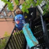 RUCSAK JUJUTSU KAISEN „READY UP”