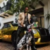 RUCSAK RICHIE RICH PAINT THE SHARK GOLD
