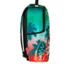 UNIVERSITATEA DIN MIAMI HURRICANES - TOUCHDOWN THUNDER